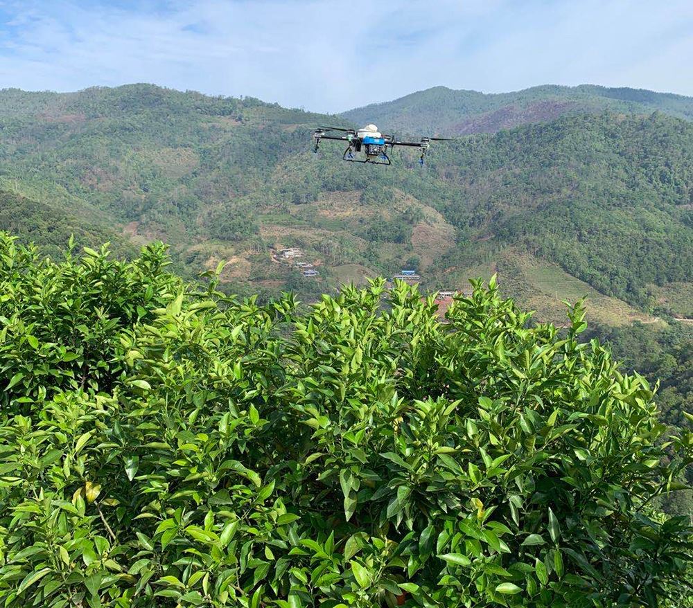 Dron yo ap vini, Lin'an gen anpil siksè kontwole ensèk nuizib ak maladi nan p...