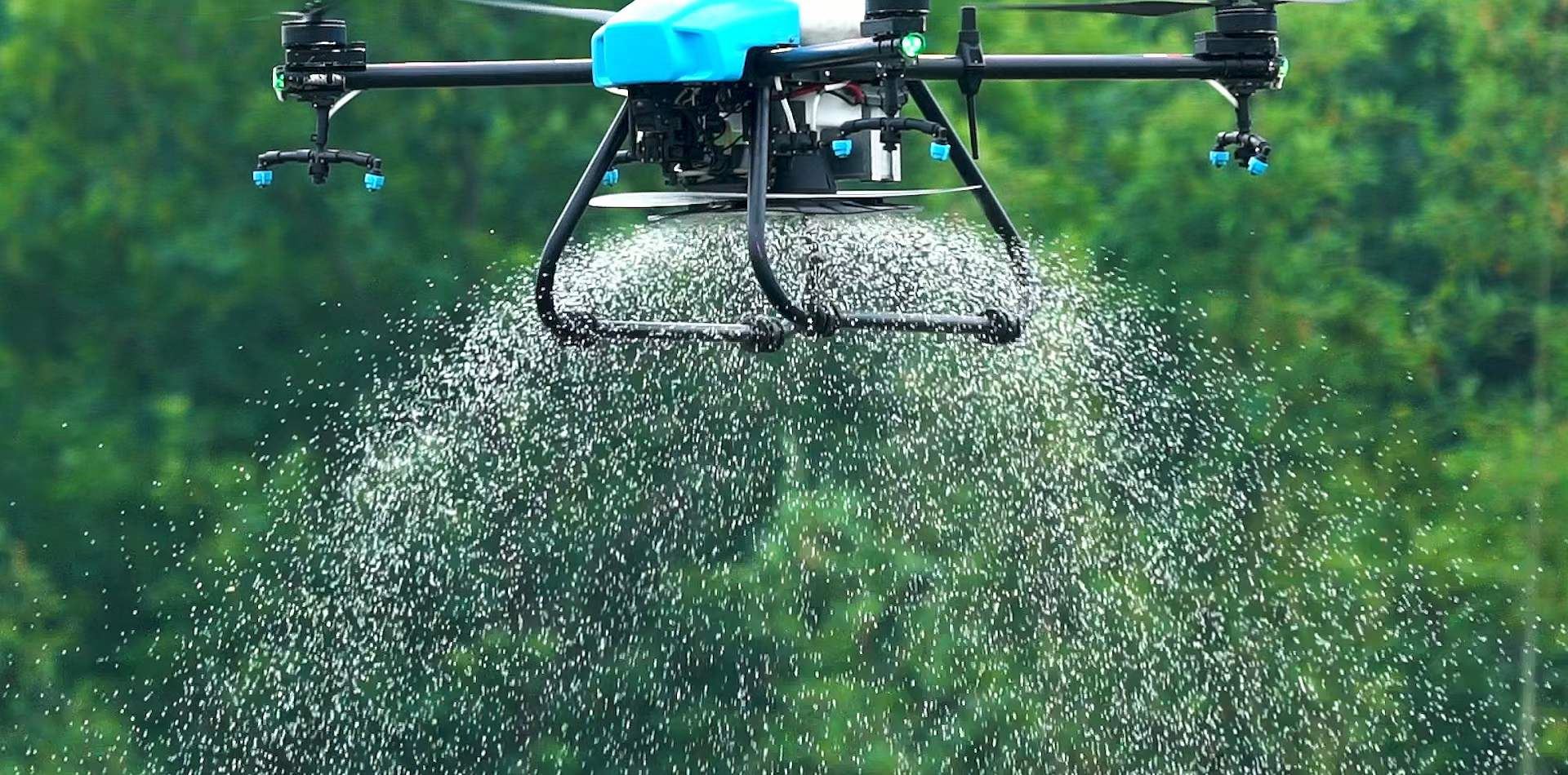 Abèy Agrikilti flite pou soya ak mayi （2）