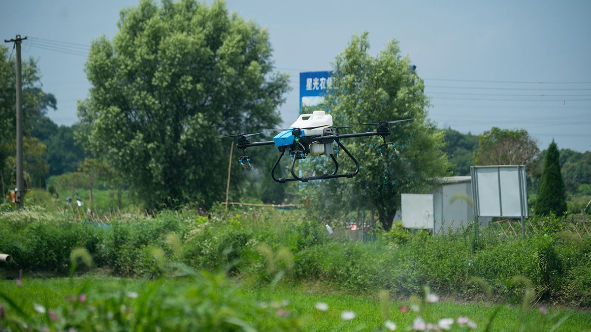 Sèvi ak abèy chimik pwoteksyon plant pou kontwole maladi ak ensèk nuizib pou ...